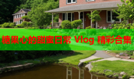 糖果心的甜蜜日常 Vlog 精彩合集