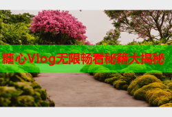 糖心Vlog无限畅看秘籍大揭秘