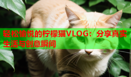 轻松愉悦的柠檬猫VLOG：分享真实生活与创意瞬间