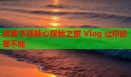 甜蜜芋圆糖心探秘之旅 Vlog 让你欲罢不能