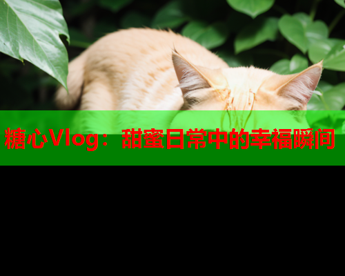 糖心Vlog：甜蜜日常中的幸福瞬间