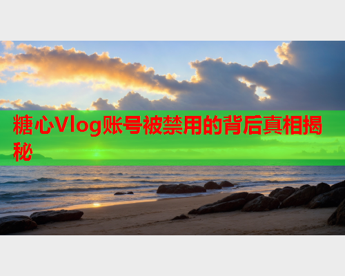 糖心Vlog账号被禁用的背后真相揭秘