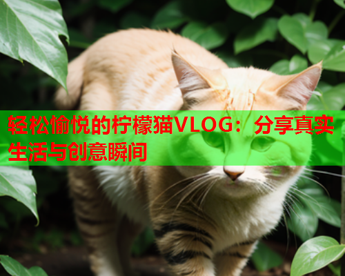 轻松愉悦的柠檬猫VLOG：分享真实生活与创意瞬间